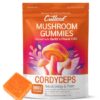 Cutleaf Mushroom Gummies Psychedelic