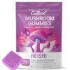 Cutleaf Mushroom Gummies Review