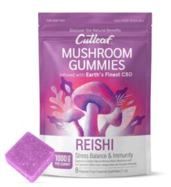 Cutleaf Mushroom Gummies Review